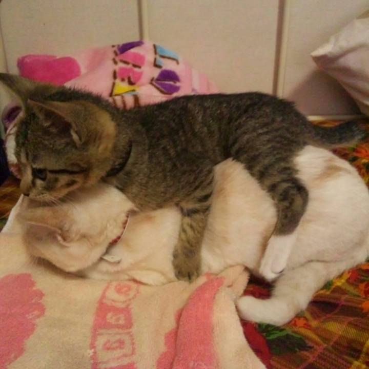 502b2f6a a441 4ffe bc58 0d55c8028102 1543674811730