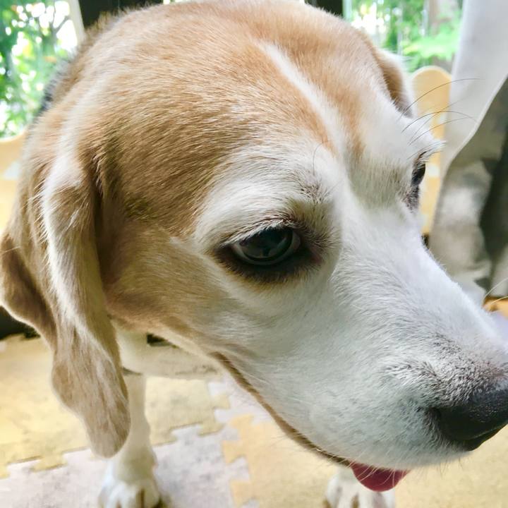 502b7902 1f0a 4543 86db 157a93520b8f 1751853610582