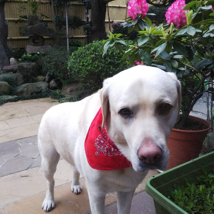 502b7ffa 7a4a 4989 868b b98950d067f6 1586061334524