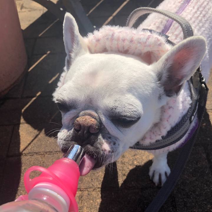 502bda52 7e93 4295 8b0c 9b7d225ee235 1645875688919