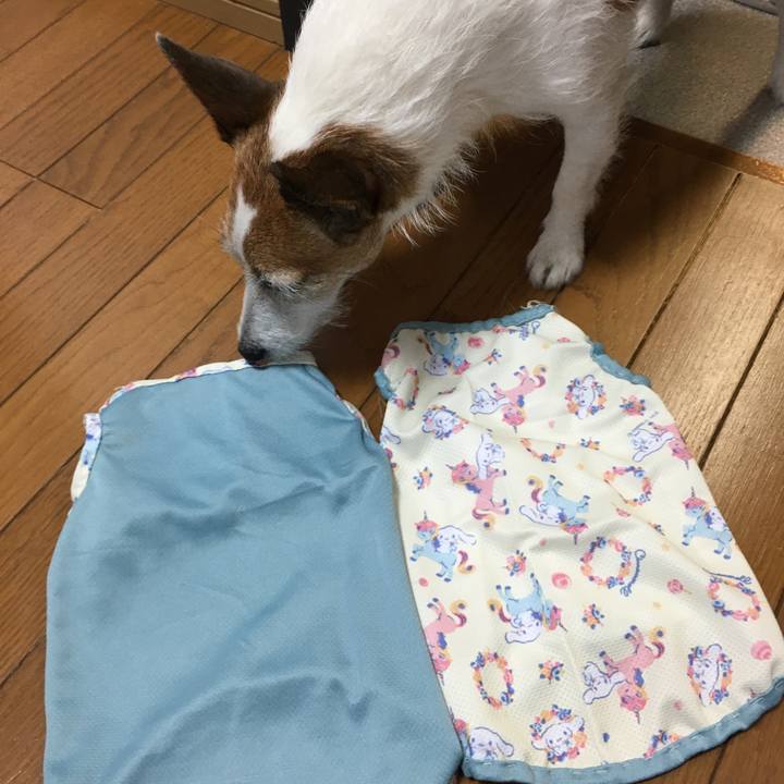 502c0ef8 7b81 402d a4f7 ef5d0335e9fb 1658964315581