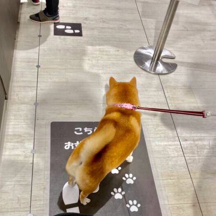 502c28cc cab2 4550 823c a50646db1b44 1576244258750