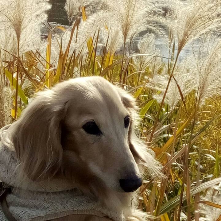 502cbea3 0671 40b0 9691 859280e9a536 1543729468828