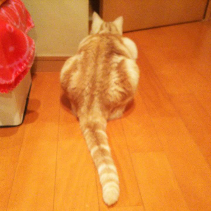 502cc3c6 6375 4d5d 903a 135b20ed585f 1521763560286