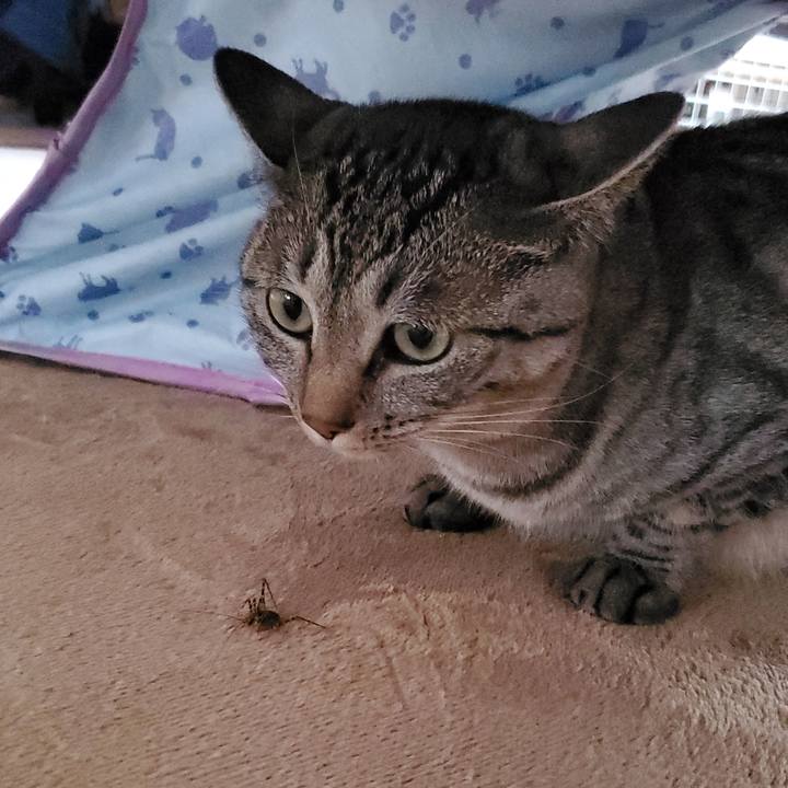 502cc847 a913 44ff a7fd 40f603c199d6 1716952604576