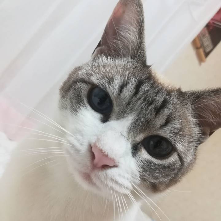 502cc94b 3274 483c 8d56 40a2d5b89bc5 1561126354622