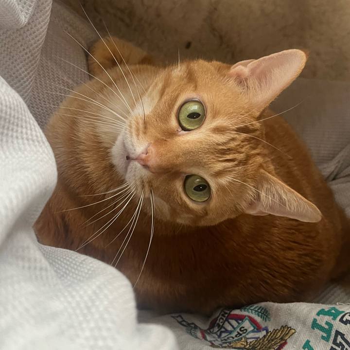 502cd981 34a9 4212 9584 d506f04ce3e4 1669326543085