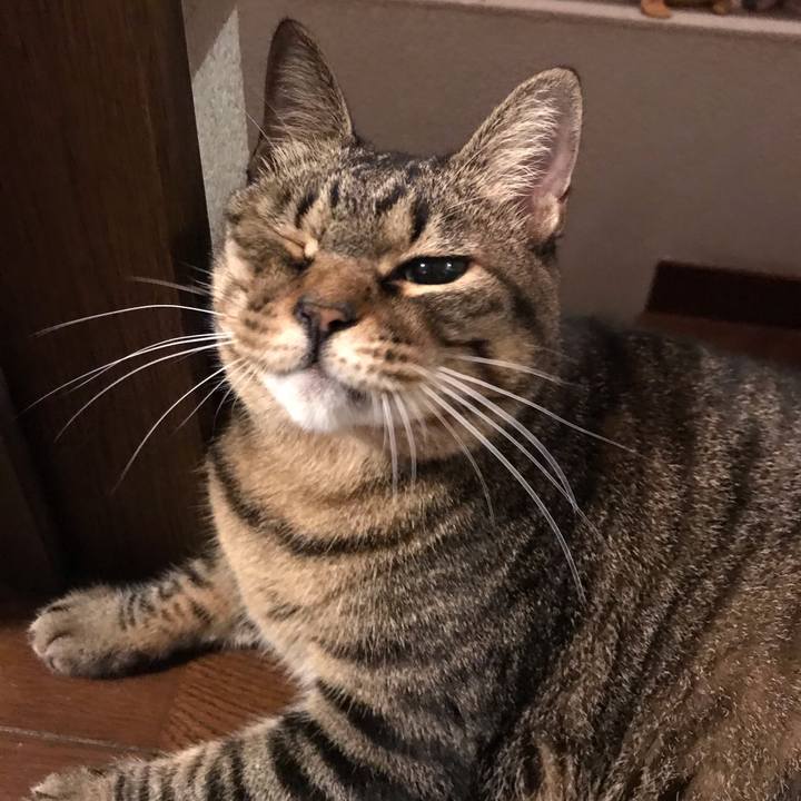 502cf831 ecb2 436d bd1a 1f43154c92aa 1665663419603