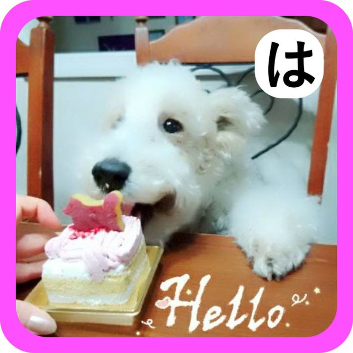 502d7758 8005 41f1 929c e0d318b6d6b5 1514897642322