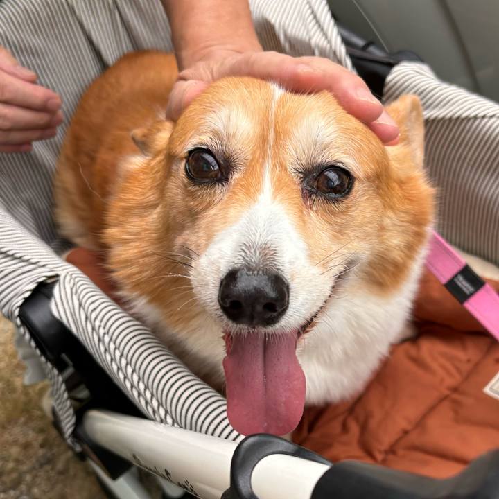 502d8dac cf6d 41e7 a159 136676419c34 1760416038731