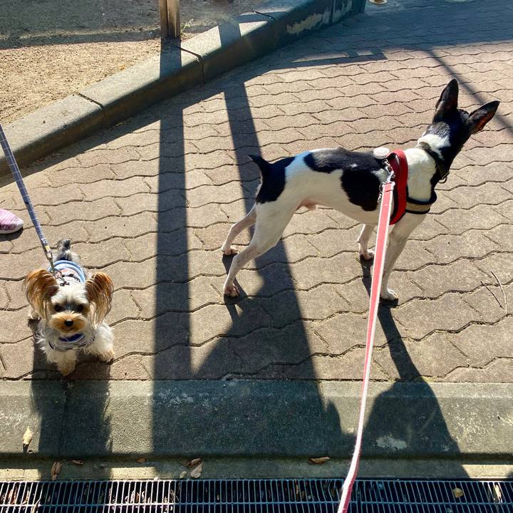 502d9eab 3f7f 4b30 b27d 07add221abf1 1600812400599