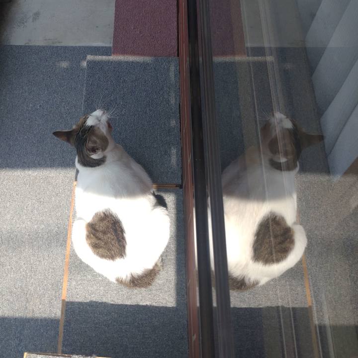 502da7c0 dc5f 4f17 a440 37c44db83068 1714796659384