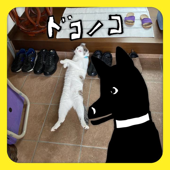 502dbe32 caf8 44fc 8c06 bb15a037cefb 1623120459674