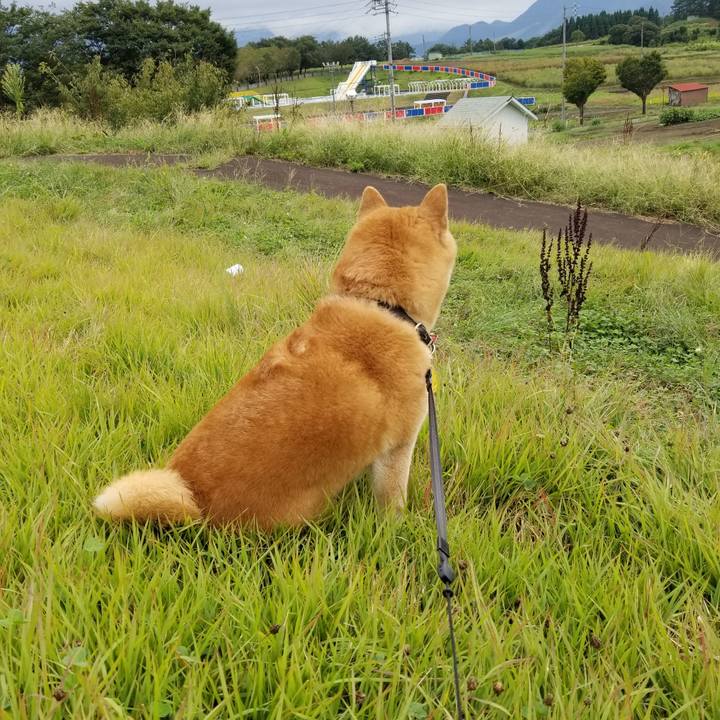 502ded0c 512d 4789 bb7e 89b868640b97 1600496499873