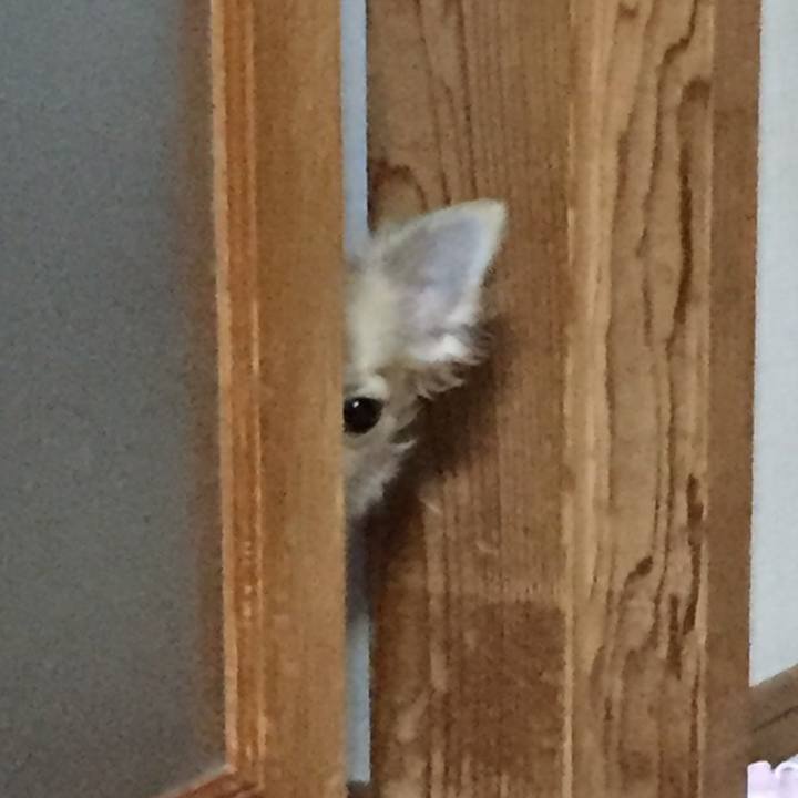 502dfb96 39a8 43b5 82a7 4be5903f6b91 1508841992078