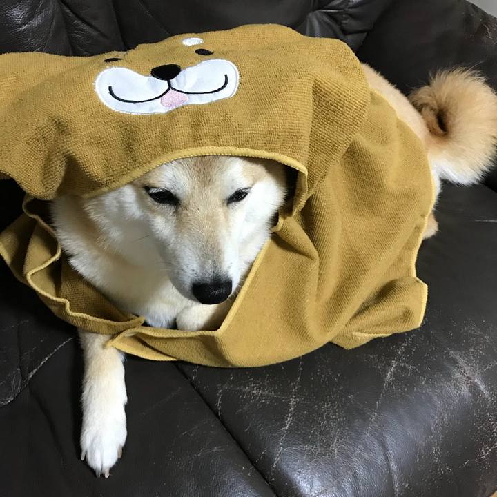 502e1130 8f7a 48b6 9319 ec83ccb5c9a9 1524914832641