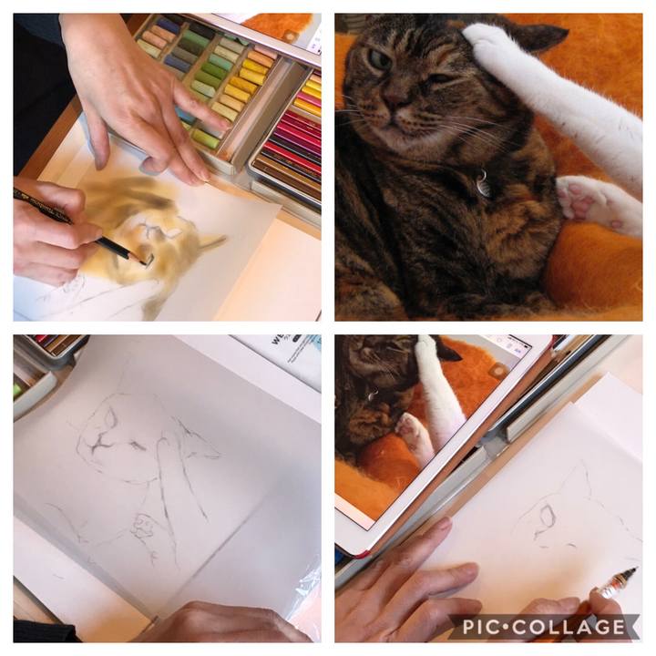 502e1858 1ee4 4516 958a 3bd30f3202d1 1581262201164