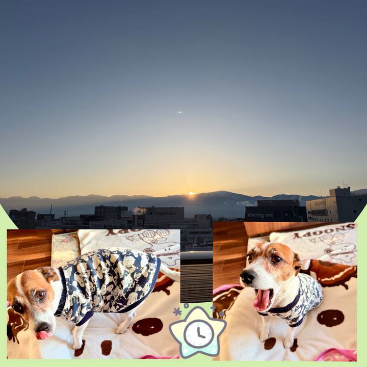 502e355b e4d8 4f7c bba6 6156dd2d3806 1770165014801