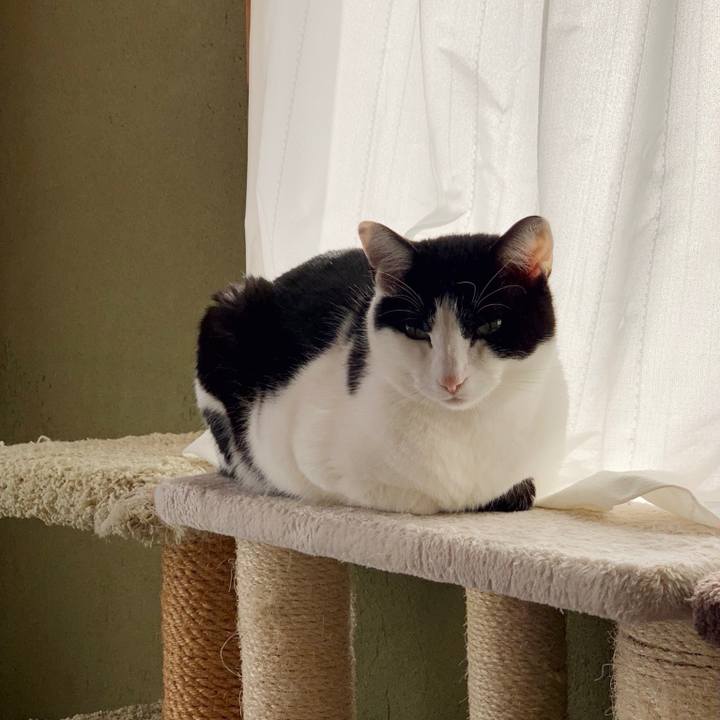 502e4587 f709 4d74 87fd 15e5307aa2f0 1552183182197