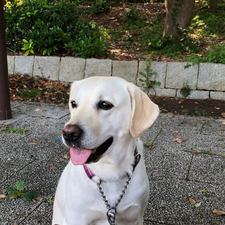 502ea119 ada2 496e 934c 6f2dfa63ecd4 1593155017562