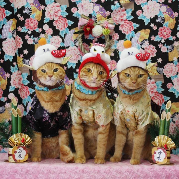 502f1a25 0aea 4862 8775 6fb6403f1e7f 1735711398831