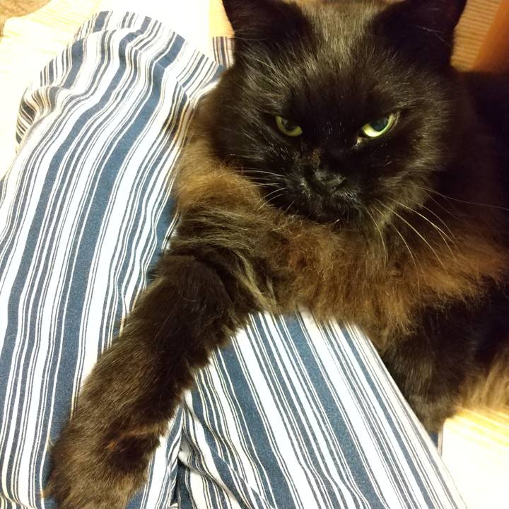 502f63b0 39be 4e8e bd65 af941c739c49 1631191056180