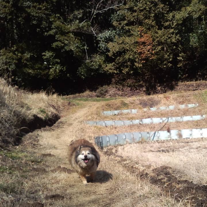 502f88fc 1304 4dac ad14 e41975418e60 1612842267841