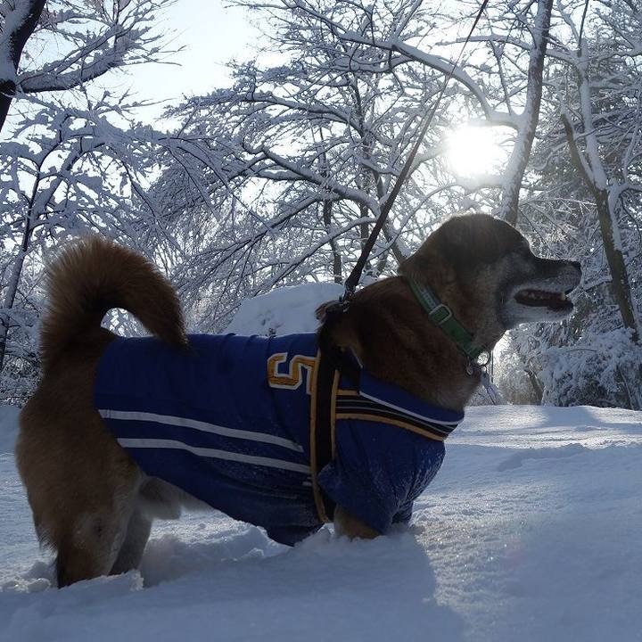 502f89b3 1edb 4975 8f2e 1fbfb1f445ba 1516671835490