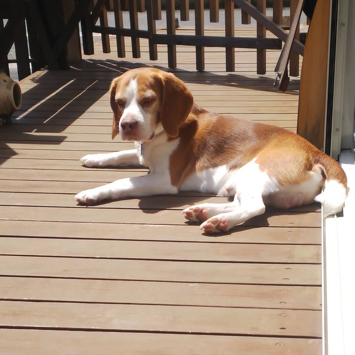 502fa97c aaa4 4c0a 8381 1926c36295db 1652171654080