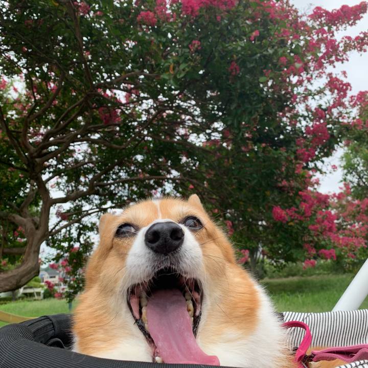 502fe707 0eb2 4478 a4ec 2af650e04618 1693353465371