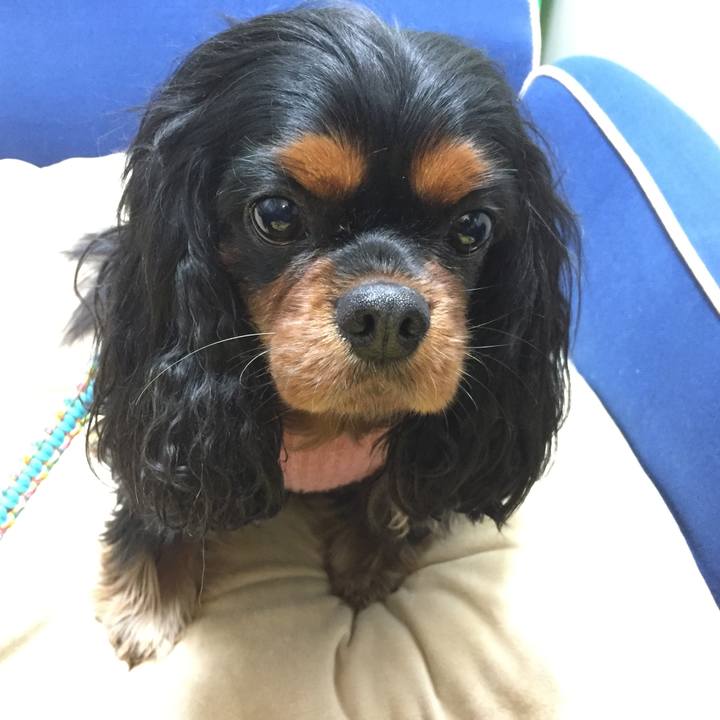 50300b8d 2096 497f 91d7 fb6a3d4281bc 1519628973646