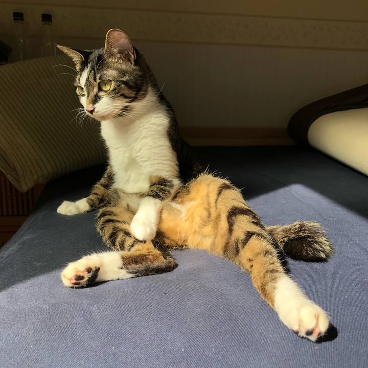 50303aa8 f4ee 4fc5 9db9 cbfa89cd8627 1519964078385