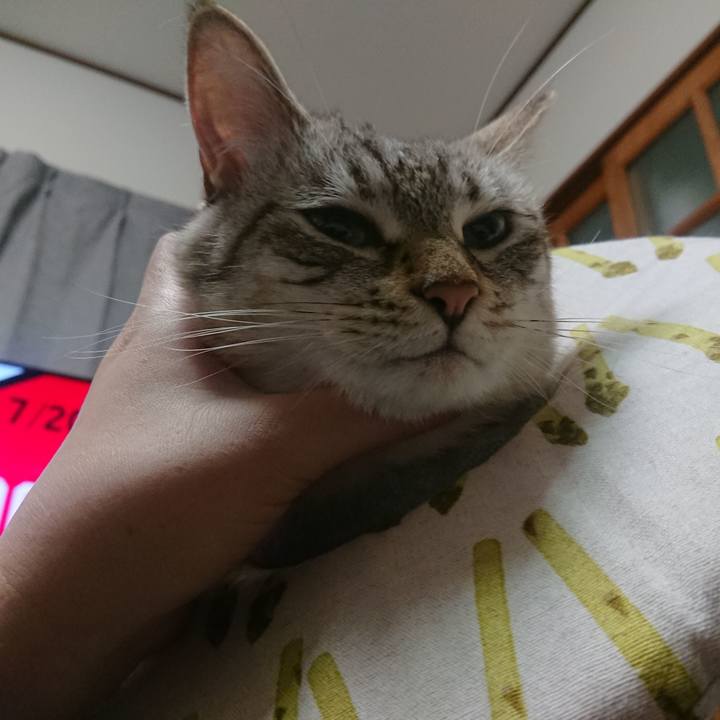 50307a8d 704e 4269 a642 a3f438a87596 1595084083832