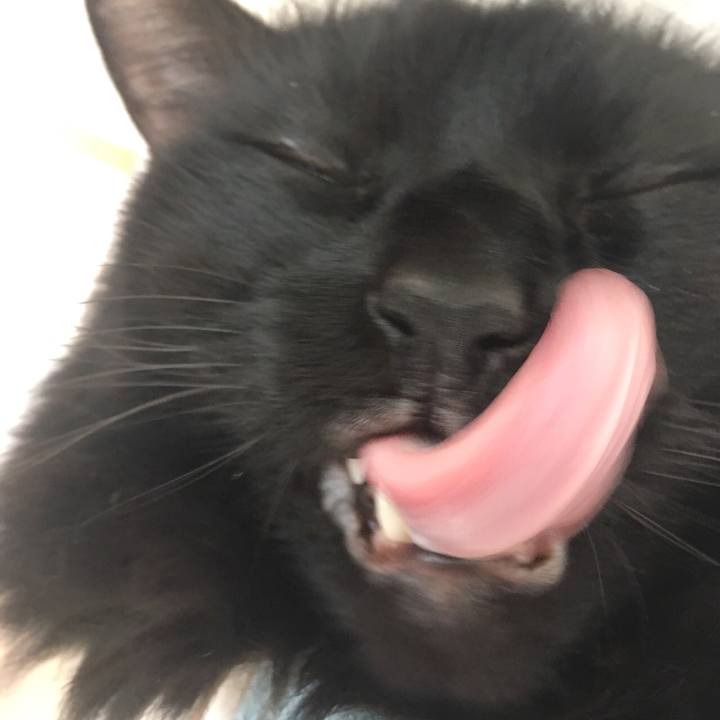 5030bdec 0024 4e14 b1a4 ff633a05f0d0 1536971366670