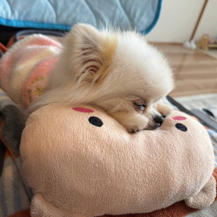 5030c1a1 313c 4ab6 831d 6abdca16f76f 1759162692736