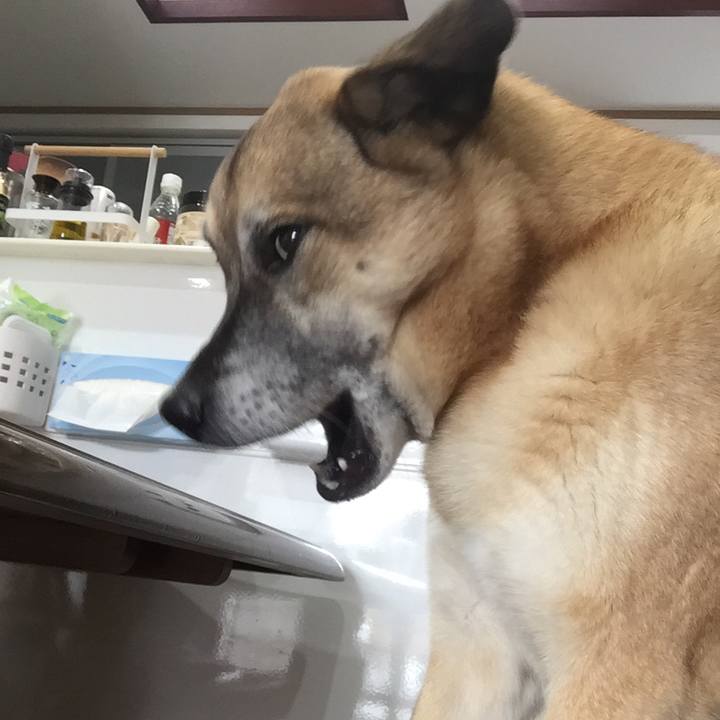 5030c4a6 9395 41ae 9e81 b3aa2dffbe26 1516545516087