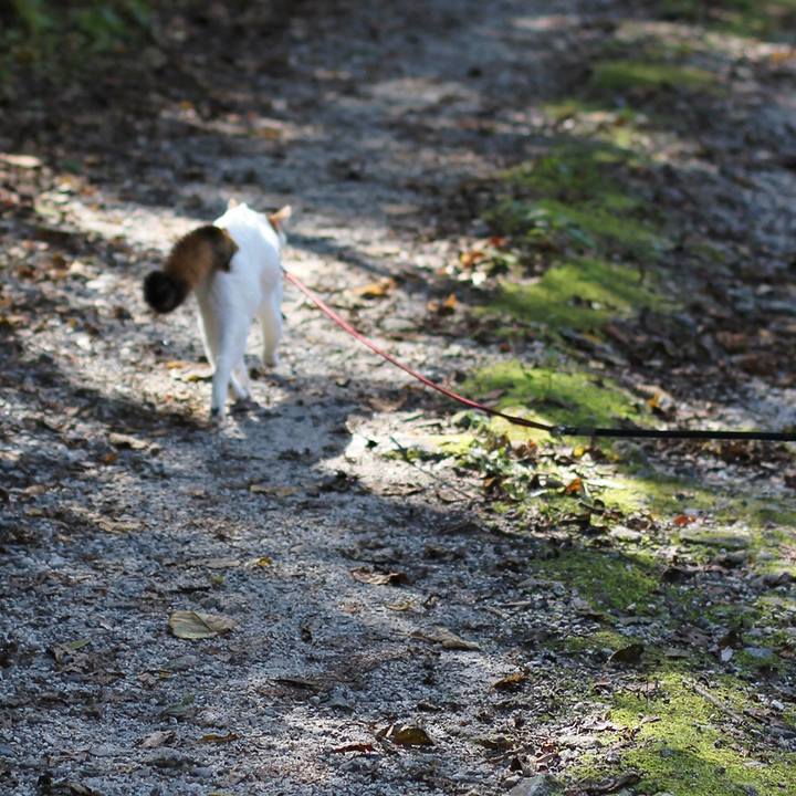 5030d79e 7315 461b bf1d 752e7a6c76d8 1609976206038