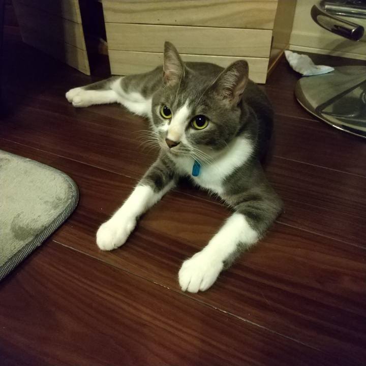 5030e028 cfae 41fd b5e7 bb4f4d2f5ff9 1596980362386