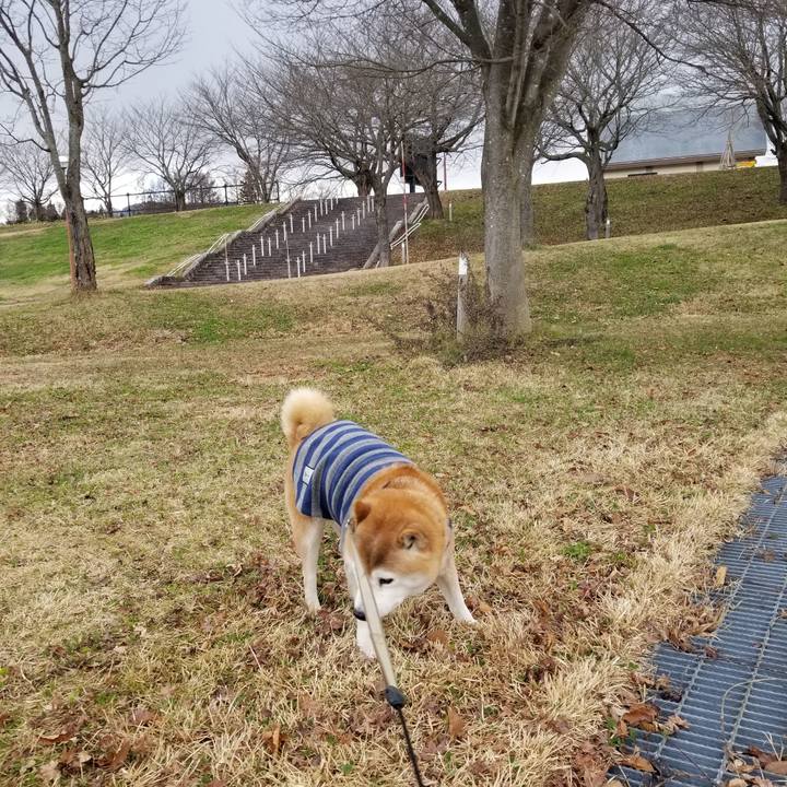 5030ee1a 304e 4482 b1e2 688ed5060389 1671079248356