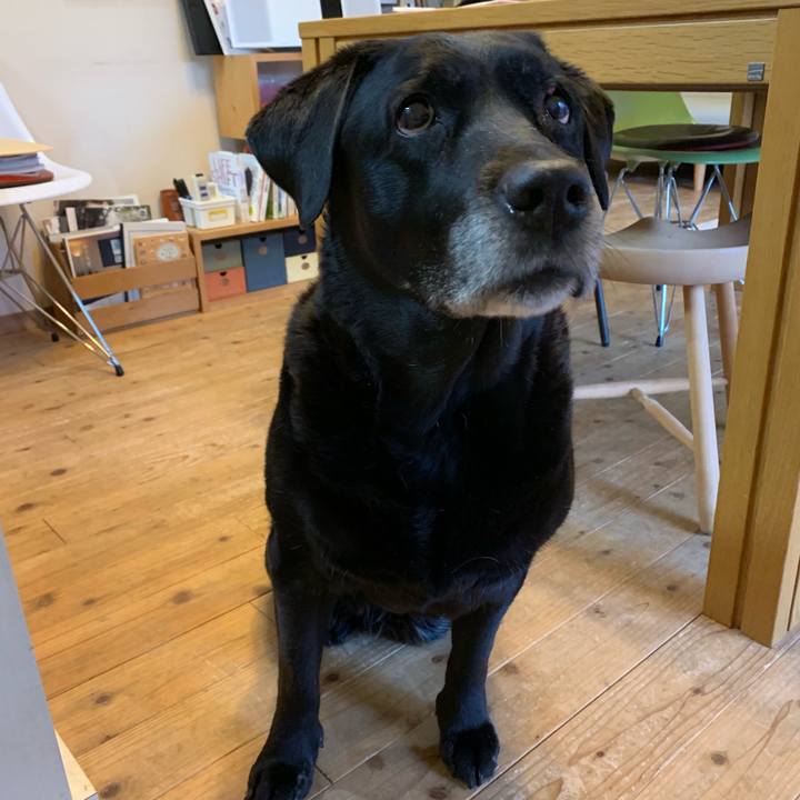 5030f7e3 ea7e 4e3b 871d 1939c1ebb649 1552516141740