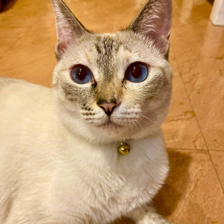 5030faf6 f260 4639 8445 f279e9bee083 1691660355677