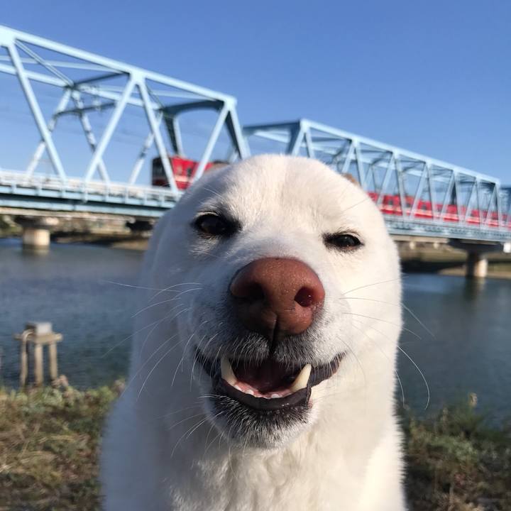 503141fd ae76 456f a865 d823bfabf834 1520811471958