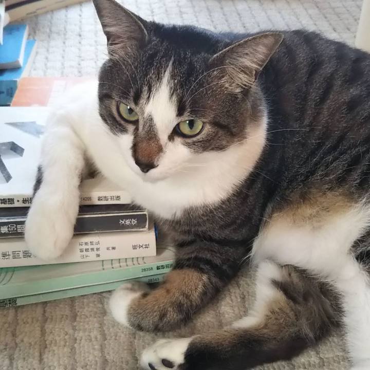 50316fb4 4cd7 437f a77b eae39b4acdda 1612796883830