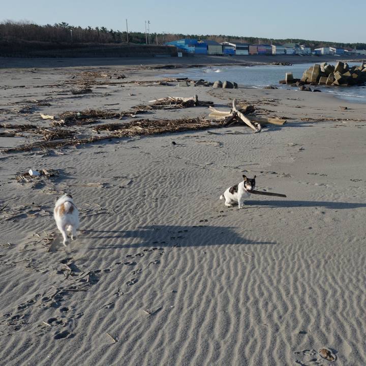 5031d1f9 e548 4e2c 8552 c3c8073ec2fb 1573621863653