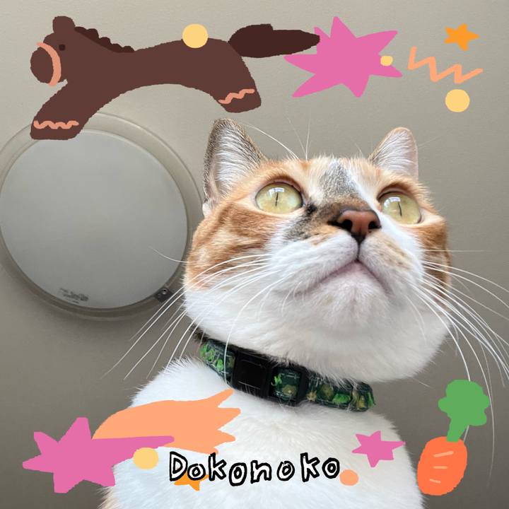 503212ea 96c3 4e3f ad1b 2b43b8392e7e 1771902895466