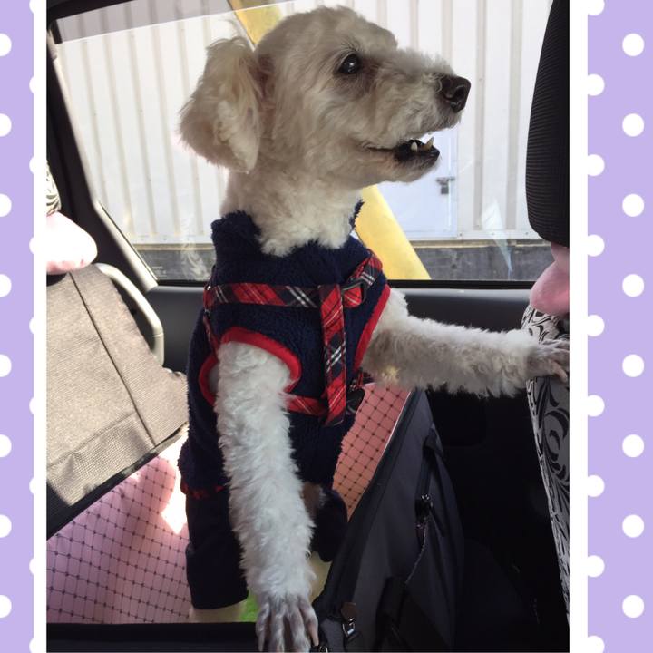 50322ff0 ca2e 4770 93d9 a51a9a4392a4 1514382332443