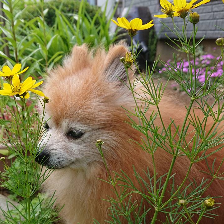 50324caa 84c6 43c0 9139 aa5cb51a67e9 1656281271808