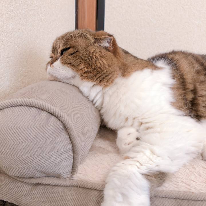 50325eb6 71d6 4ade a829 5f041b0e63d3 1620304575415