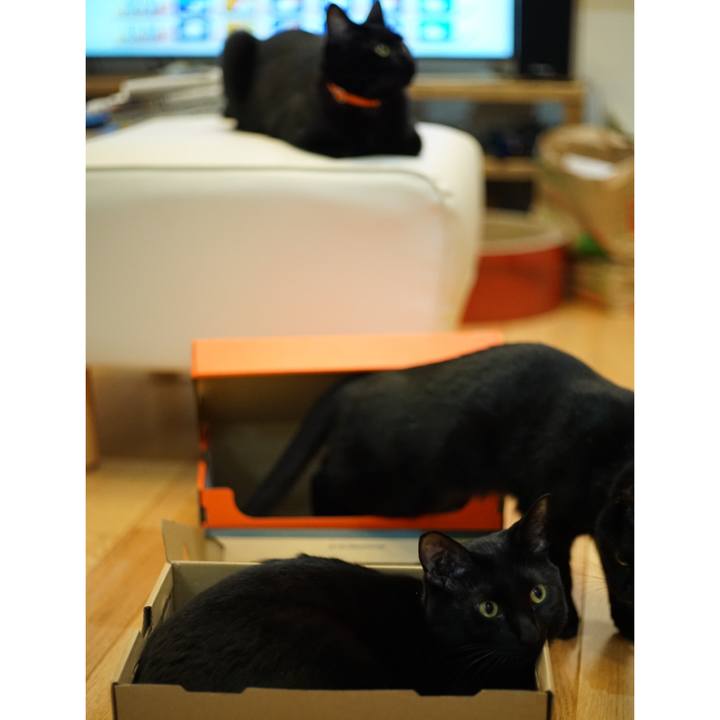 50327ff4 4edd 4233 86c0 b8ff724a6f4a 1521071066634