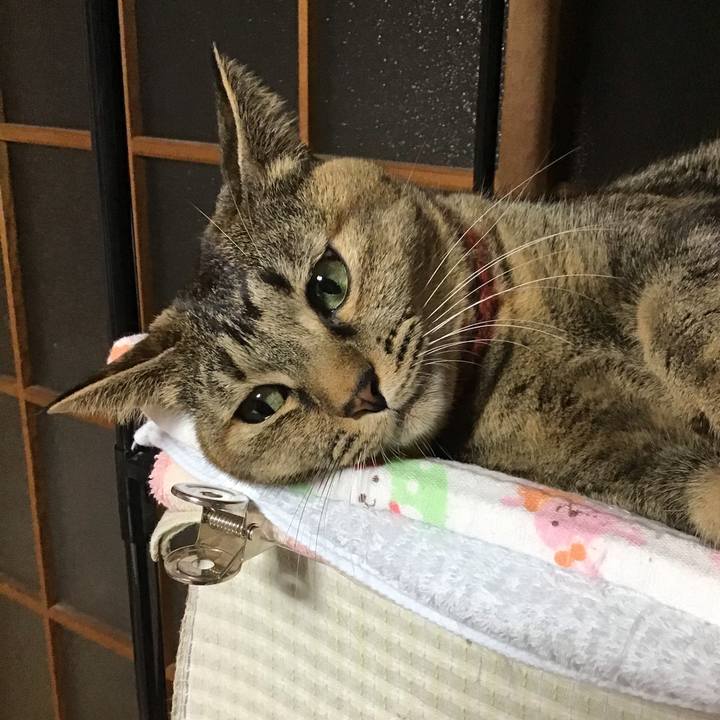 50329133 5f96 4b72 83a0 c5257aeb8d04 1636625665710